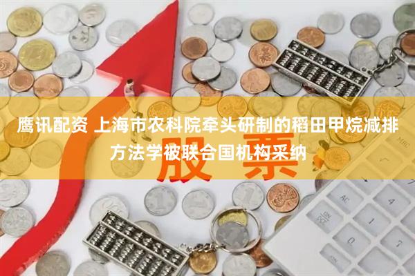 鹰讯配资 上海市农科院牵头研制的稻田甲烷减排方法学被联合国机构采纳
