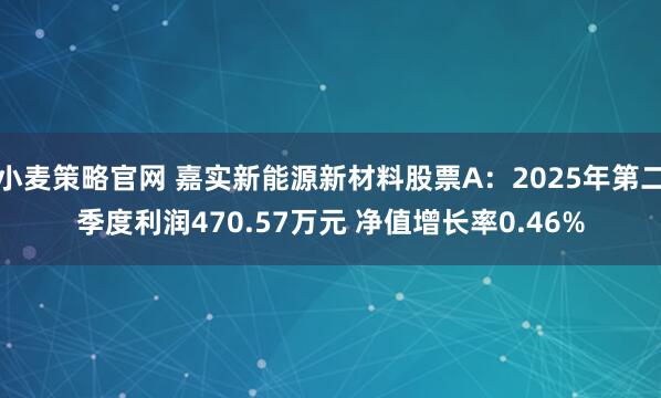 小麦策略官网 嘉实新能源新材料股票A：2025年第二季度利润470.57万元 净值增长率0.46%