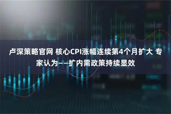 卢深策略官网 核心CPI涨幅连续第4个月扩大 专家认为——扩内需政策持续显效