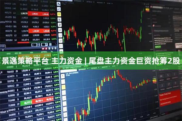 景逸策略平台 主力资金 | 尾盘主力资金巨资抢筹2股