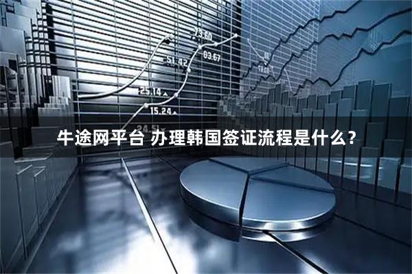 牛途网平台 办理韩国签证流程是什么？