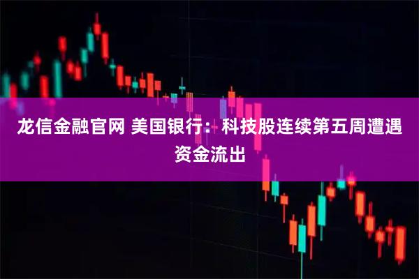 龙信金融官网 美国银行：科技股连续第五周遭遇资金流出