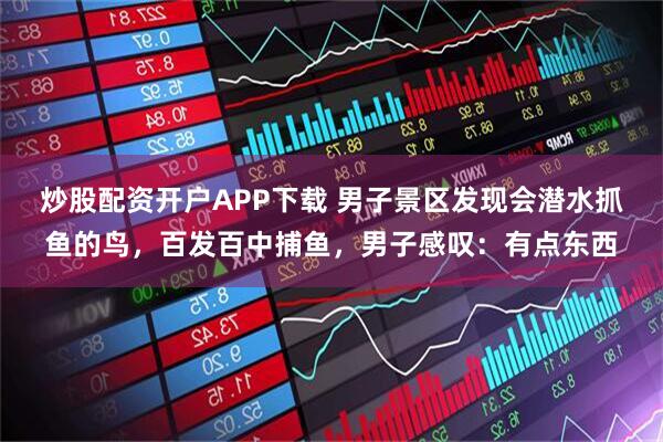 炒股配资开户APP下载 男子景区发现会潜水抓鱼的鸟，百发百中捕鱼，男子感叹：有点东西