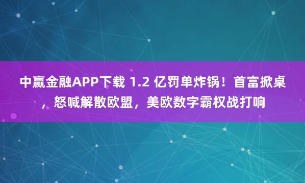 中赢金融APP下载 1.2 亿罚单炸锅！首富掀桌，怒喊解散欧盟，美欧数字霸权战打响