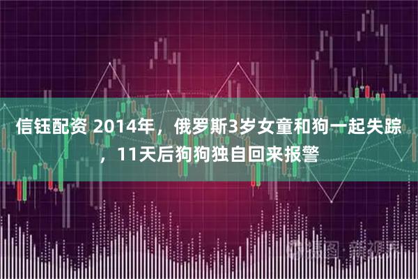 信钰配资 2014年，俄罗斯3岁女童和狗一起失踪，11天后狗狗独自回来报警