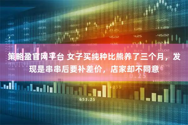 策略盈官网平台 女子买纯种比熊养了三个月，发现是串串后要补差价，店家却不同意