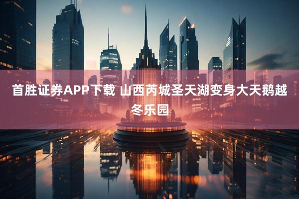 首胜证券APP下载 山西芮城圣天湖变身大天鹅越冬乐园
