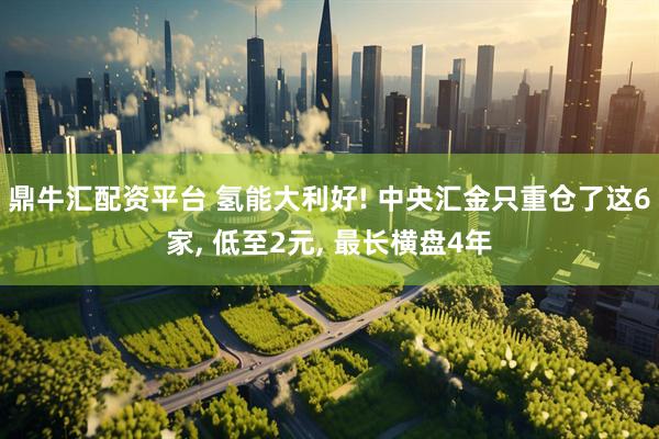 鼎牛汇配资平台 氢能大利好! 中央汇金只重仓了这6家, 低至2元, 最长横盘4年