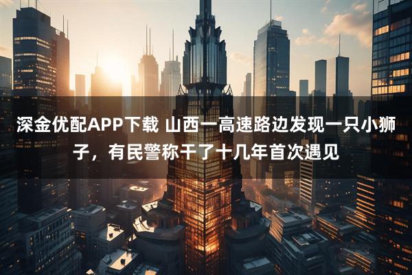 深金优配APP下载 山西一高速路边发现一只小狮子，有民警称干了十几年首次遇见