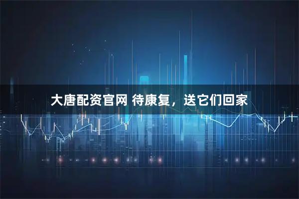 大唐配资官网 待康复，送它们回家
