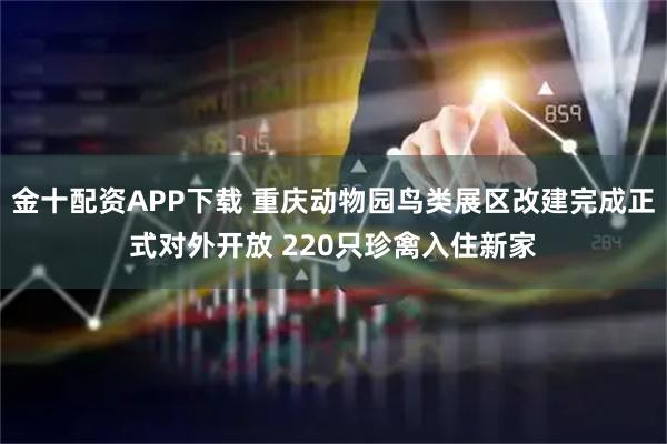 金十配资APP下载 重庆动物园鸟类展区改建完成正式对外开放 220只珍禽入住新家