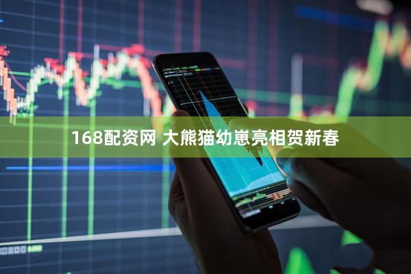 168配资网 大熊猫幼崽亮相贺新春