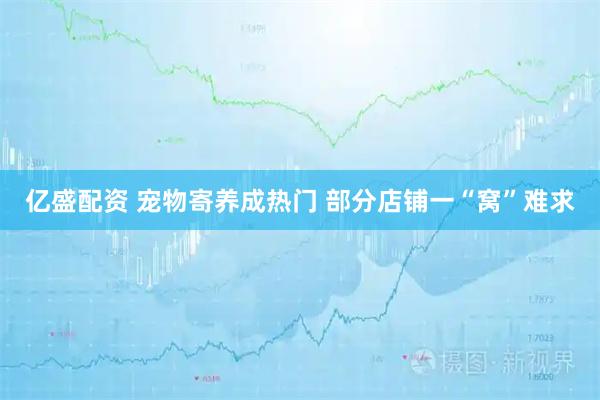 亿盛配资 宠物寄养成热门 部分店铺一“窝”难求