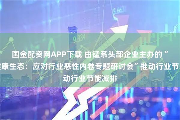 国金配资网APP下载 由锰系头部企业主办的“共筑健康生态：应对行业恶性内卷专题研讨会”推动行业节能减排