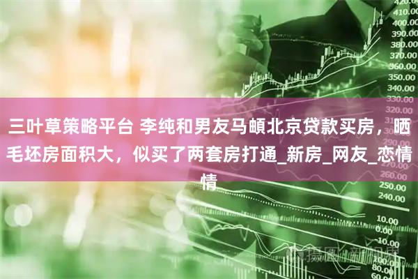 三叶草策略平台 李纯和男友马頔北京贷款买房，晒毛坯房面积大，似买了两套房打通_新房_网友_恋情